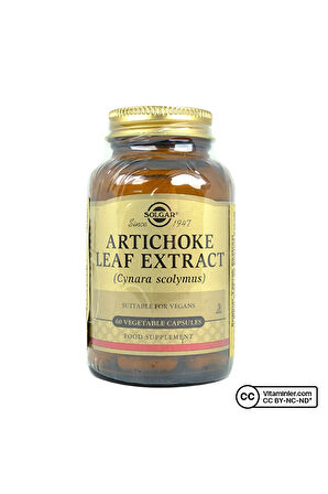 Artichoke Leaf Extract 60 Kapsül - AROMASIZ