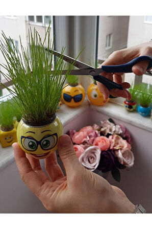 Çimoji 12 Adet Çim Adam Doğum Günü Parti Ofis Dekor Ilginç Hediye Oyuncak Okul Öncesi Kreş Aktivite