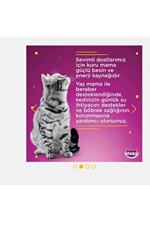 Pouch Sığır Etli Kedi Maması 24 Adet