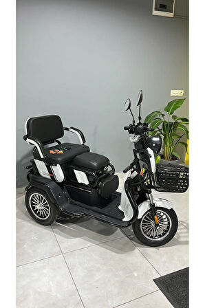 Fx08 2 1 Kişilik 3 Tekerlekli Moped