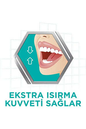 Super Diş Protezi Yapıştırıcı Tat Içermez Krem 40 gr