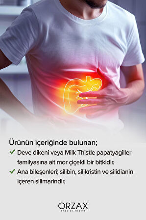 Ocean Milk Thistle 30 Tablet