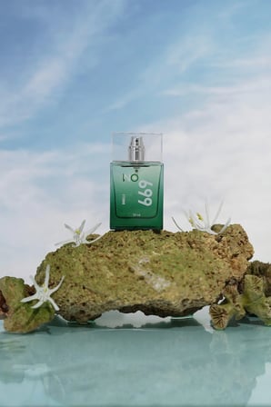 No:669 erkek parfüm 50 ml EDP
