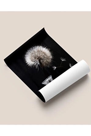 Çerçevesiz Poster Cam Vazo ve Uçuşan Karahindiba Çiçeği