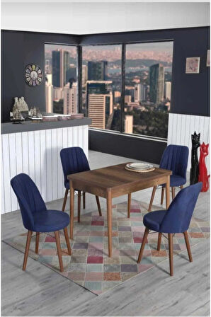 4 Kişilik Sabit Masa Sandalye Takımı 70x110 Cm Mutfak Masası Takımı Yemek Masası Masa Takımı