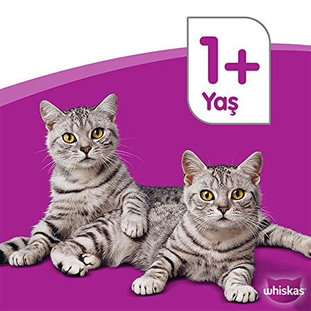 Whiskas Pouch Sos Içinde Somonlu Yetişkin Kedi Konservesi 85 gr x 28