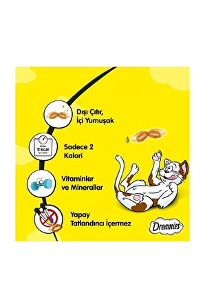 Peynirli Kedi Ödül Maması 60 gr 6 Adet