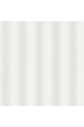Seyyah 1306-2 Düz Çizgili Duvar Kağıdı (açık Gümüş)