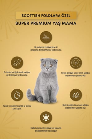 Reflex Plus Scottish Fold Yetişkin Kedi Pouch Mama 85gr x 12 Adet