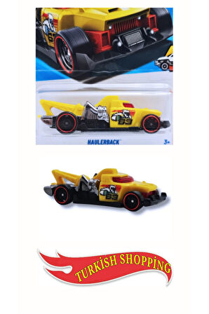 2025 Case 1:64 Ölçek Haulerback