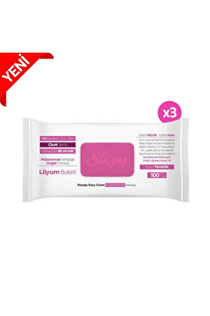Easy Clean Lilyum Buketi Yüzey Temizlik Havlusu&mendili 3x100 (300 YAPRAK)