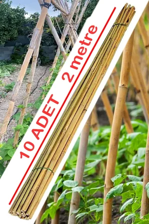 Doğal Kargı Bitki Destek Çubuğu Fidan Salatalık Sarmaşık Çiçek Destek Çubuğu 10 Adet 200 Cm