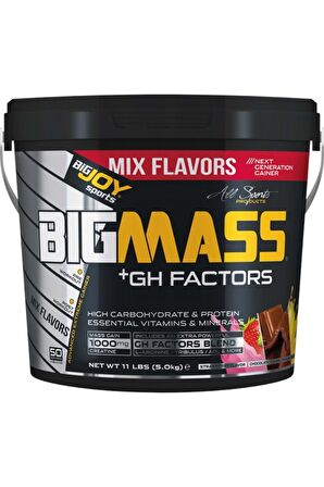 BIGMASS Gainer GH FACTORS Mix Aroma 5000g