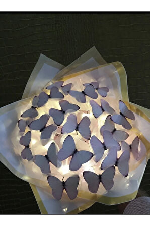 Ledli 20li pembe kelebek buketi