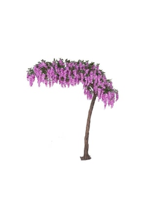 Kokulu Mor Çiçekli Mor Salkım Fidanı 10-20 cm