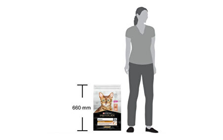  Pro Plan Elegant Hassas Deri Somonlu Kedi Maması 10 Kg