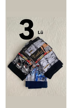 BOXER KARIŞIK DESENLİ ELESTAN