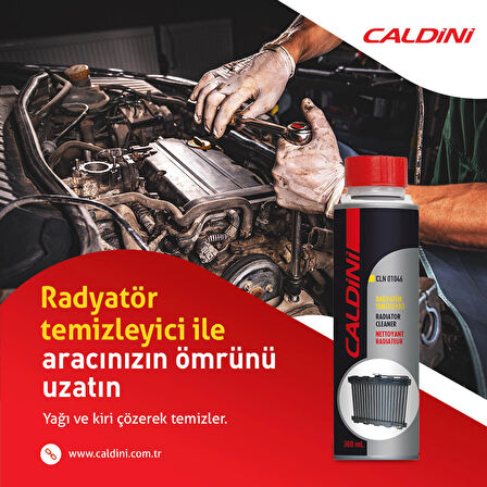 CALDİNİ Caldini Radyatör Temizleme Spreyi 300 ml. Cln01046