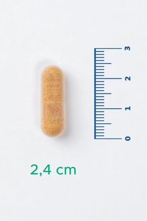 V-Proguard - Aktif Heksoz Korele Bileşik ve Saw Palmetto İçeren Takviye Edici Gıda