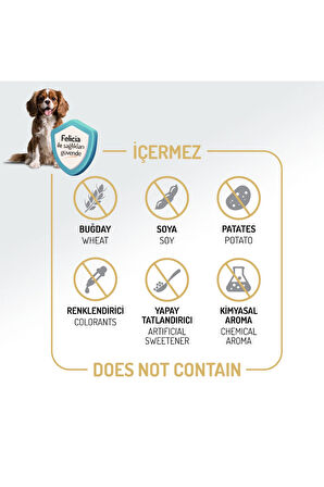 Aztahıllı Kuzulu M/large Breed Hypoallergenic Yetişkin Köpek Maması 15 Kg