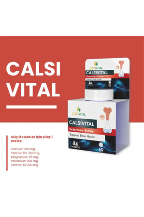 Calsivital Kedi Ve Köpekler İçin Destekleyici Lezzetli 60 Tablet