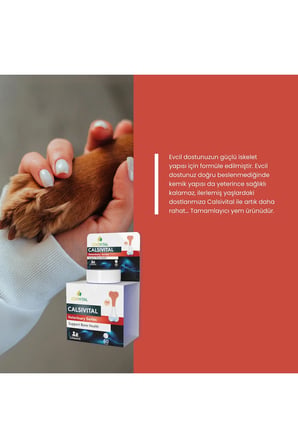 Calsivital Kedi Ve Köpekler İçin Destekleyici Lezzetli 60 Tablet