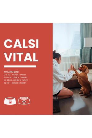 Calsivital Kedi Ve Köpekler İçin Destekleyici Lezzetli 60 Tablet