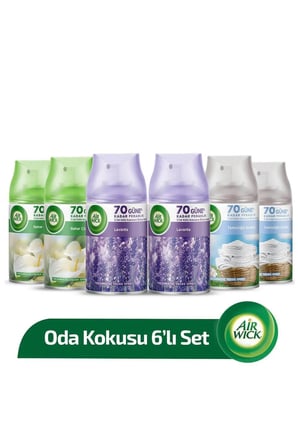 Freshmatic Oda Kokusu Sprey 250 ml 6 Al 4 Öde - Karışık