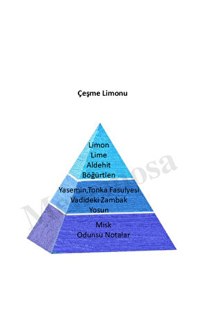 Çeşme Lİmonu 180 Ml Cam Şişe Dökme Kolonya Edc