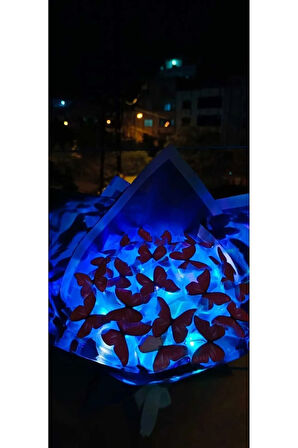 ledli kırmızı kelebek buketi