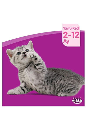Tavuklu Kuru Yavru (2-12 AYLIK) Kedi Maması 300 gram (14 ADET)