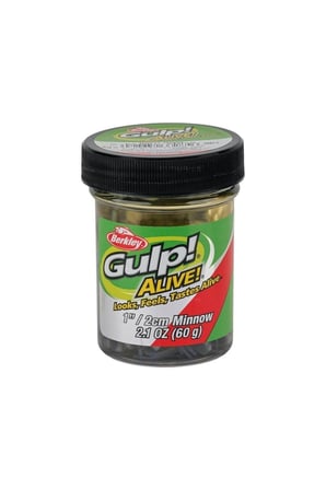 Gulp Alive Minnow 1'' 2.54 Cm Lrf Silikon Yem Chartreuse Shad