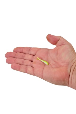 Gulp Alive Minnow 1'' 2.54 Cm Lrf Silikon Yem Chartreuse Shad