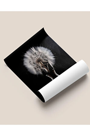 Çerçevesiz Poster Siyah Vazoda Karahindiba Çiçeği