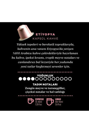 Etiyopya Kapsül Kahve 10’lu Kutu | Tüm Kapsül Kahve Makineleriyle Uyumlu