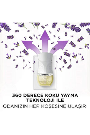 Airwick Oda Kokusu Elektrikli Kit Lavanta 19ml