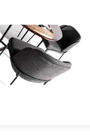 Mutfak Sandalyesi 6'lı Set Salon Sandalyesi Papel Sandalye Yemek Odası Sandalye Lüks Sandalye Morena