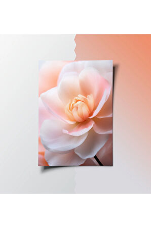 Çerçevesiz Poster, Dijital Baskı, Pembe Çiçek, Klasik ,Modern , Soyut , Minimalist Poster