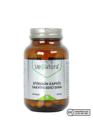Venatura Sitikolin 250 mg 30 Kapsül