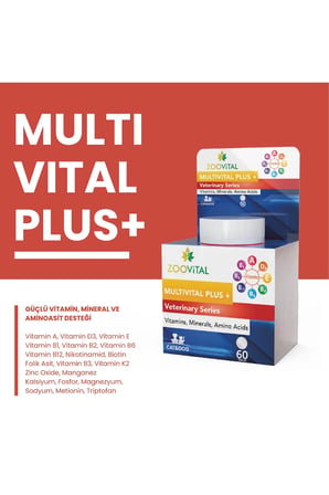 Multivital Plus Kedi ve Köpekler için Multivitamin Mineral Amino asit İçeren 60 Tablet