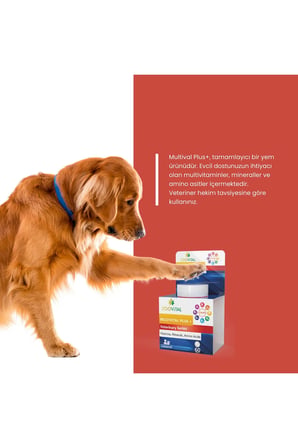 Multivital Plus Kedi ve Köpekler için Multivitamin Mineral Amino asit İçeren 60 Tablet