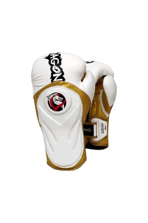 Tepito Muay Thai- Kick Boks, Bok Eldiveni dragon