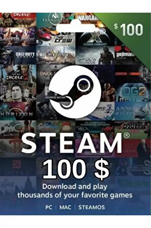 STEAM 100 USD