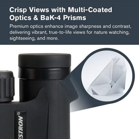 Celestron Outland X 10X25 Binocular Cl 71341
