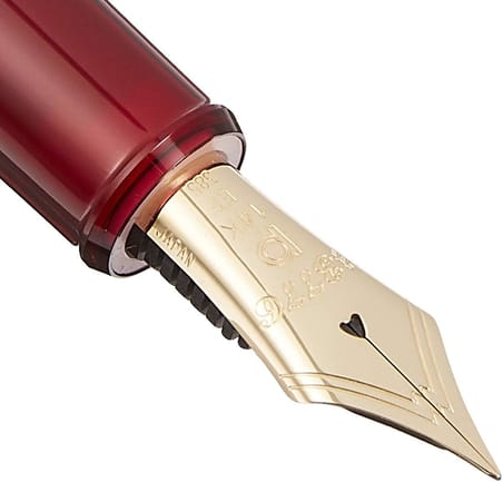 プラチナ萬年筆 Plutinum Pnb13000#3776 Century Gold Trim 71 Bourgogne Ef Dolma Kalem