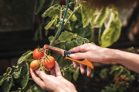Fiskars Fiskars K80 Katlanır Hasat Bıçağı 1062819