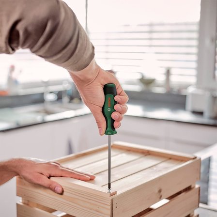Bosch Home And Garden Tornavida Seti 6 Parça Set 2
