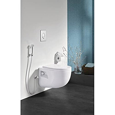Grohe Tempesta-F Reinigungsbrause Aparatı Ile, Duş Başlığı 1 Şekli, 26358000