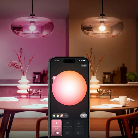 Philips Hue Essential 8W E27 806 Lumen Renkli Akıllı Ampul A60