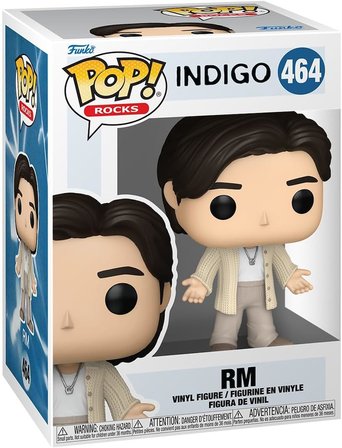 Funko Pop Rocks: Bts - Rm (Wildflower), Oyuncak Figür